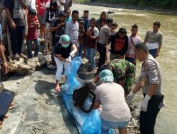 Dilaporkan Hilang, Mangihut Harianja Ditemukan Mengapung di DAS Batang Toru