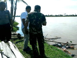 Patroli Orangutan, BKSDA Temukan Mayat Mengapung di Sungai