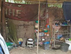 Miris, Riasidah Warga Besitang Setahun Hidup di Bawah Tenda
