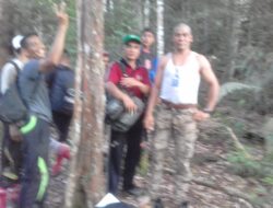 Lima Warga Serbajadi Pencari Damar Hilang di Hutan