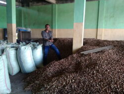 Harga Pinang Kering Anjlok, Petani di Abdya Kecewa