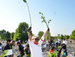Peringati Hari Lahan Basah Sedunia, Pemko Langsa Tanam 5.000 Batang Mangrove