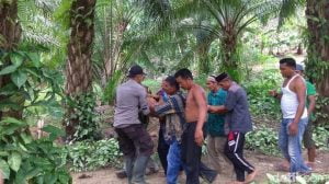 Menjala Ikan di Sungai, Warga Peunaron Diserang Buaya
