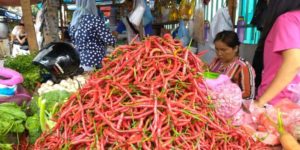 Harga Bawang Putih di Asahan Turun, Per Kilo Dibanderol Rp36 Ribu/Kg