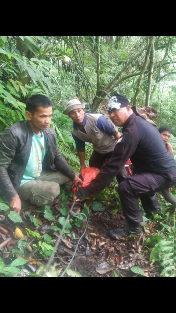 Sopir Truck  Tewas Masuk Jurang