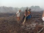 Karhutla di Sei Kepayang, Kapolres Asahan Usut Penyebab Kebakaran