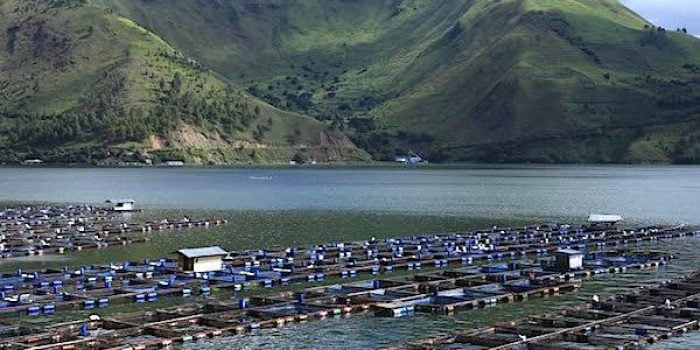 Bupati Perintahkan DLH Sergai Usut Pencemaran di Pantai Cermin