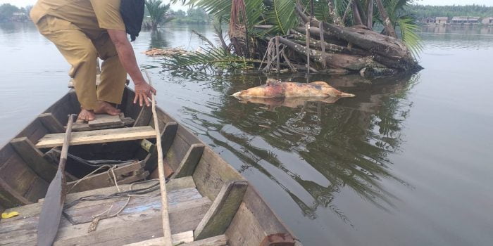 Camat Medan Marelan Imbau Warga Tak Gunakan Air Sungai Bederah