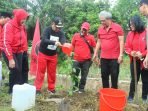 Aksi Penanaman 5.000 Pohon, Akhyar Imbau Mari Bikin Cantik Medan