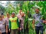 Bupati Bersama Kapolres Asahan Panen Jagung Hibrida