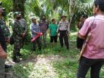 Harimau Mangsa Empat Sapi Warga di Aceh Singkil