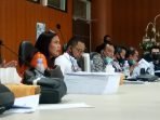 Duma Sari Hutagalung, Anggaran RTH Rp42 Miliar Tak Sebanding dengan Hasilnya