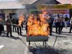 Polres Langkat Bakar 80 kg Ganja