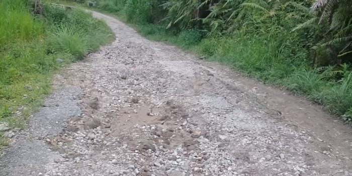 Dinas PUPR Pakpak Bharat Dikabarkan Batalkan Proyek Jalan Kecupak-Kuta Liang Rp4,1 Miliar
