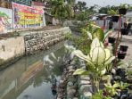 Kepedulian Ibu PKK Kelurahan Tanah 600 Untuk Menata Bunga Di Pinggir Sungai Sei Merah Sehingga Kelihatan Indah