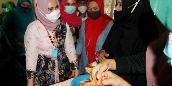 TP PKK Padang Sidempuan Studi Banding di Langkat