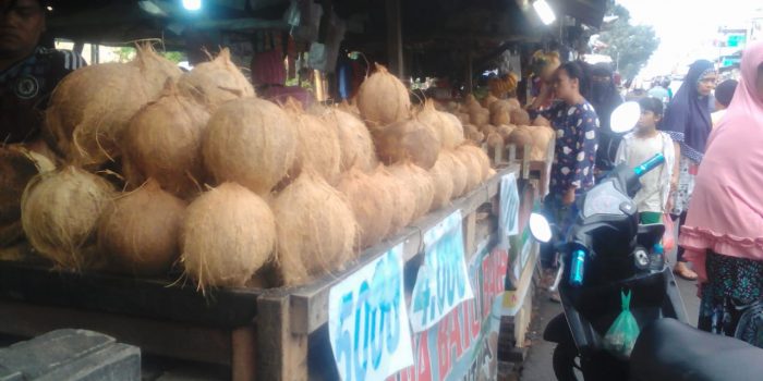 Kelapa Batubara Memang Tak Ada Tanding