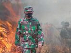 Dandim Abdya Dukung Polres Ungkap Pelaku Pembakar Hutan