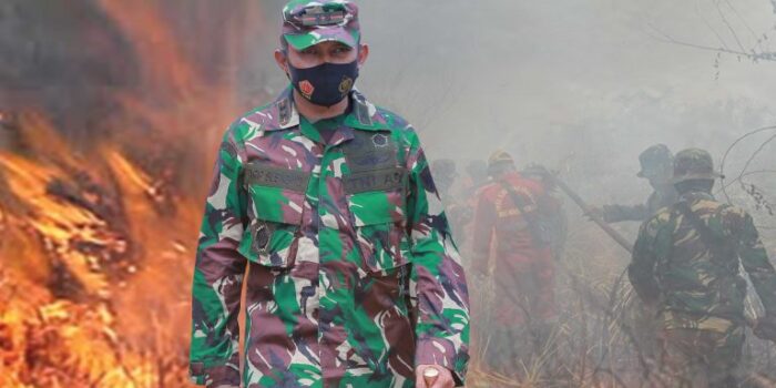 Dandim Abdya Dukung Polres Ungkap Pelaku Pembakar Hutan