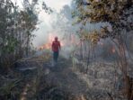 Saat Kemarau, Camat Trumon Imbau Masyarakat Jangan Membakar Sembarangan