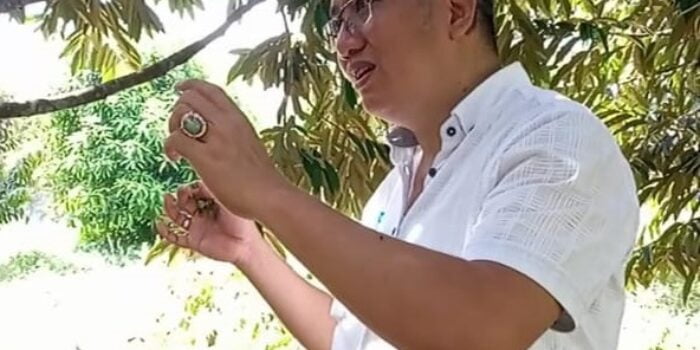 Sugianto Makmur:  Perlu Pengembangan Durian Unggul di Sumut