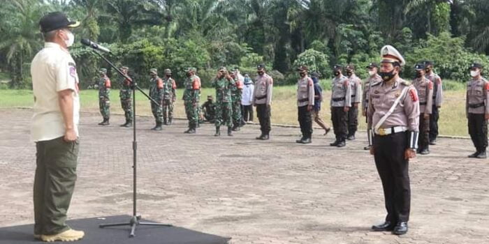 Wabup Palas Pimpin Pelaksanaan Apel Gelar Pasukan Ketupat Toba 2021