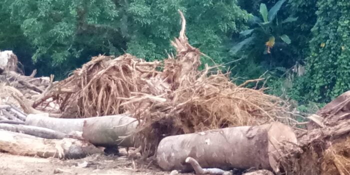 Sempadan Sungai Bekala Dipenuhi Potongan Kayu