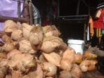Ternyata Kelapa Batubara Palsu Banyak Dijual di Medan