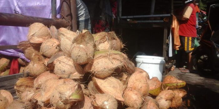 Ternyata Kelapa Batubara Palsu Banyak Dijual di Medan