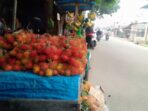 Rambutan Binjai dan Deliserdang Kuasai Medan