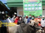 Bupati Karo Serahkan Hewan Kurban ke BKM Masjid Agung Kabanjahe