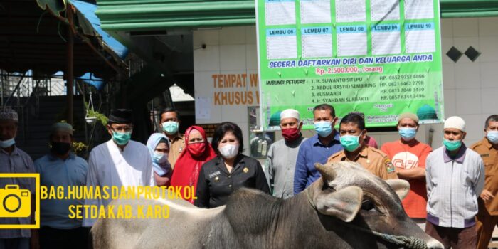 Bupati Karo Serahkan Hewan Kurban ke BKM Masjid Agung Kabanjahe
