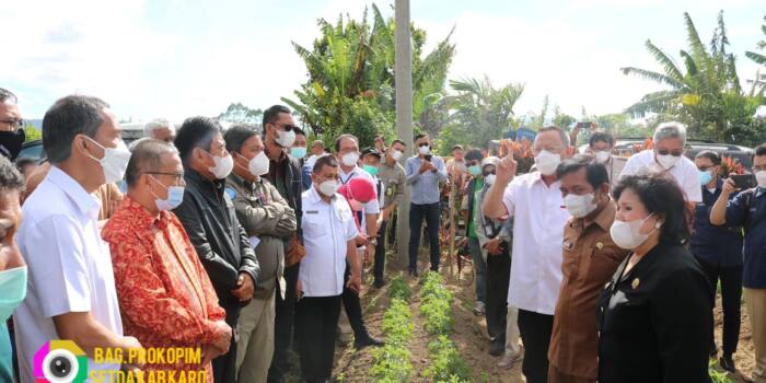 Dirjen Kementan RI dan Komisi IV DPR RI Tinjau Pembibitan Kentang Bertingkat di Karo