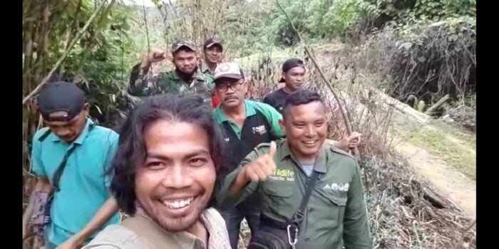 Untuk Penanganan 4 Harimau, BKSDA Turunkan Pawang