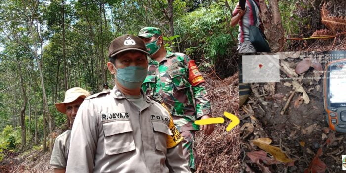TNI-Polri dan BBKSDA Kembali Temukan Jejak Harimau di Kebun Karet  Masyarakat Desa Siraisan