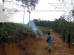 BKSDA Hentikan Pencarian Harimau di Desa Siraisan Palas