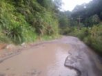 Jalan Lintas Pantai Barat Rusak, Amir Lubis Tuding Karena Kenderaan Tambang Illegal