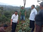 Agrowisata Desa Huta Namale Petik Lansung Santap