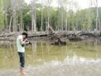 Mari Bersuara Selamatkan Mangrove Aceh