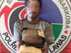 Pria Pemilik Ganja Tiga Bal ini Ditangkap Polres Palas