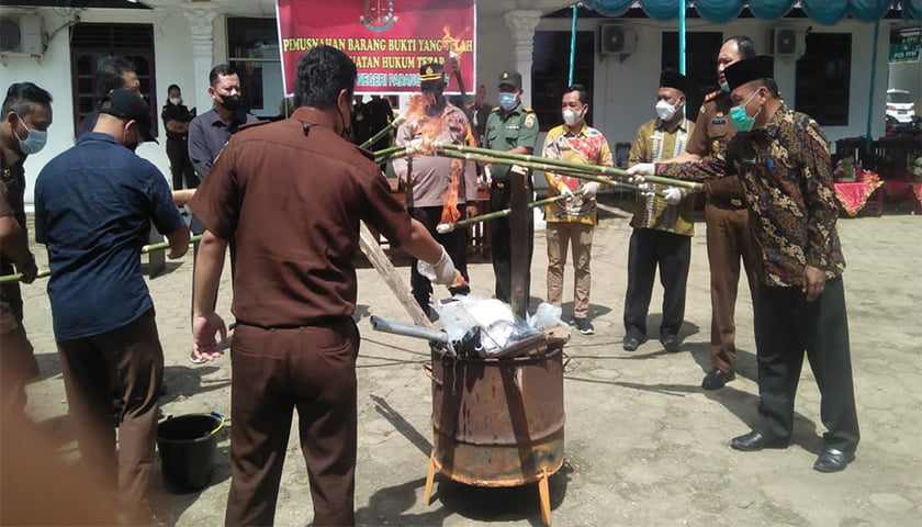 kejari palas musnahkan barang bukti