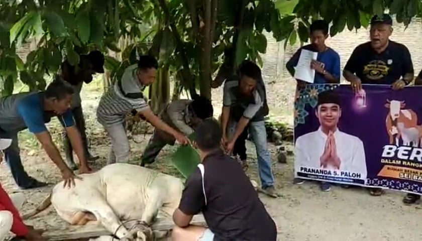 psp partai nasdem sergai