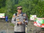 Polres Langsa Tanam Pohon, Aceh Hijau di Hutan Mangrove Kuala Langsa