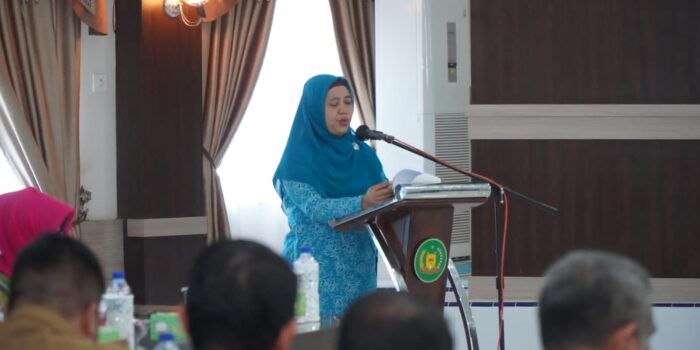 Tim Monitoring PKK Provsu Gelar Pembinaan, PKK Langkat Diharapkan Masuk Nominasi