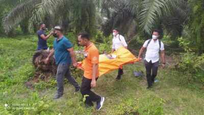IRT Ditemukan Tewas di Areal Perkebunan Kelapa Sawit