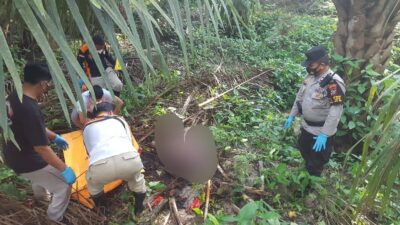 Wanita Lansia Ditemukan Tewas di Areal Perkebunan Kelapa Sawit