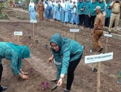 PT Socfindo Conservation Tanam Bibit TOGA Bersama TP PKK Tapsel