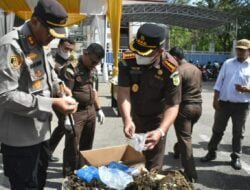 Pemusnahan Barang Bukti Narkoba Tahun 2022 di Langsa