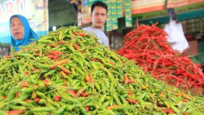 Jelang Nataru, Harga Cabai Rawit di Pasar Sei Kambing Mulai Naik