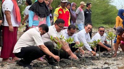 Ketua Gerindra Sumut Lakukan Penanaman Manggrove Bersama Ormas Tani dan Nelayan